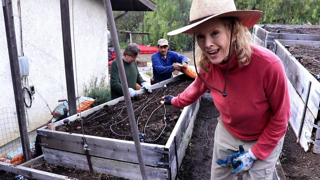 HILLSIDE Garden MAKEOVER | Topanga Canyon - Part 2, Prepping the Raised Beds