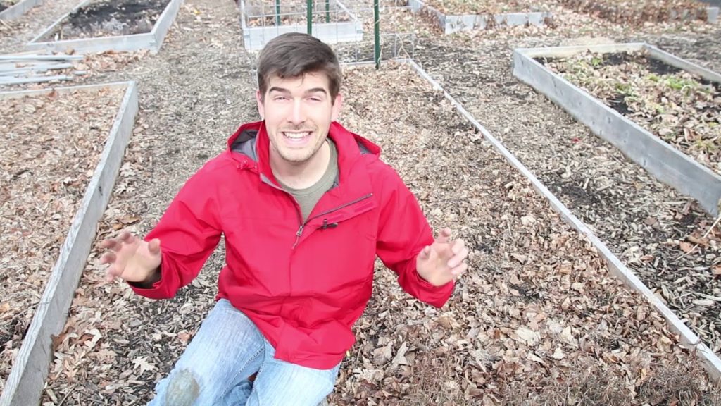 This Do Nothing Approach to Soil Building is Amazing!