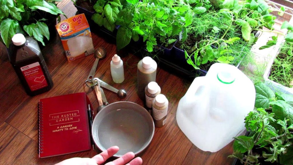 Using Garden Sprays 101: Neem Oil, Peppermint Oil, Baking Soda & Hydrogen Peroxide Sprays Explained!