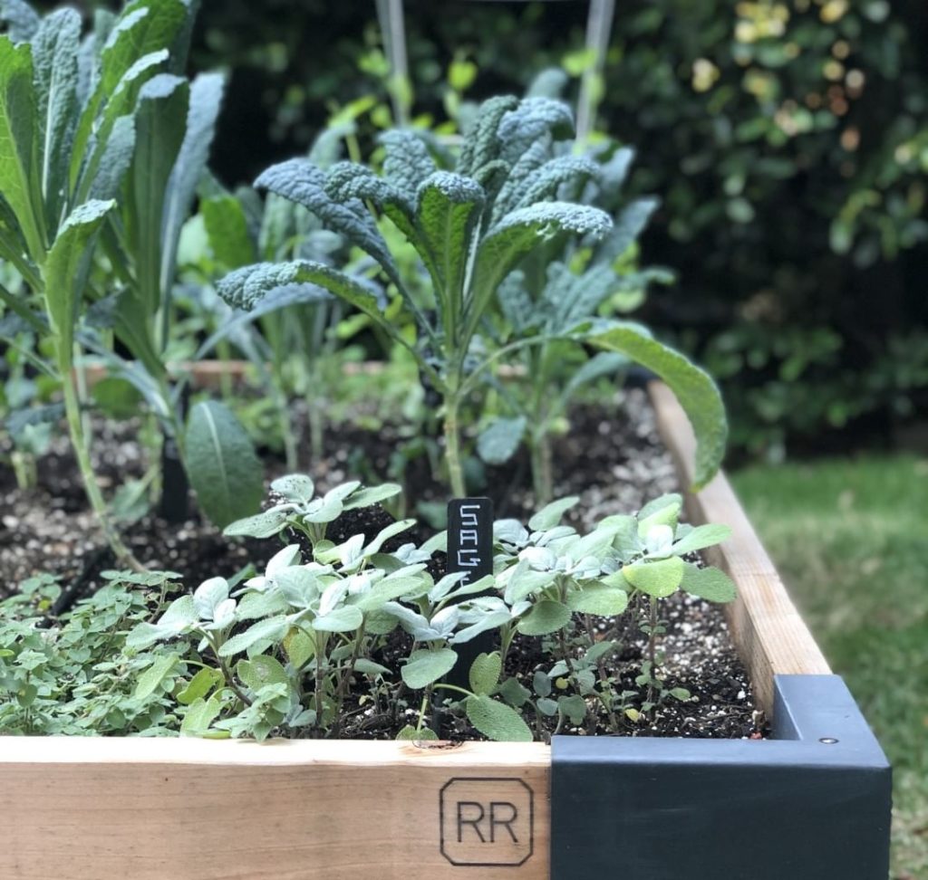 gardendesignmag: What edibles do you grow in your garden?
.
Gardening tip from @revival_roots: Wa… What edibles do you grow in your garden?
.
Gardening tip from @revival_roots: Wa...