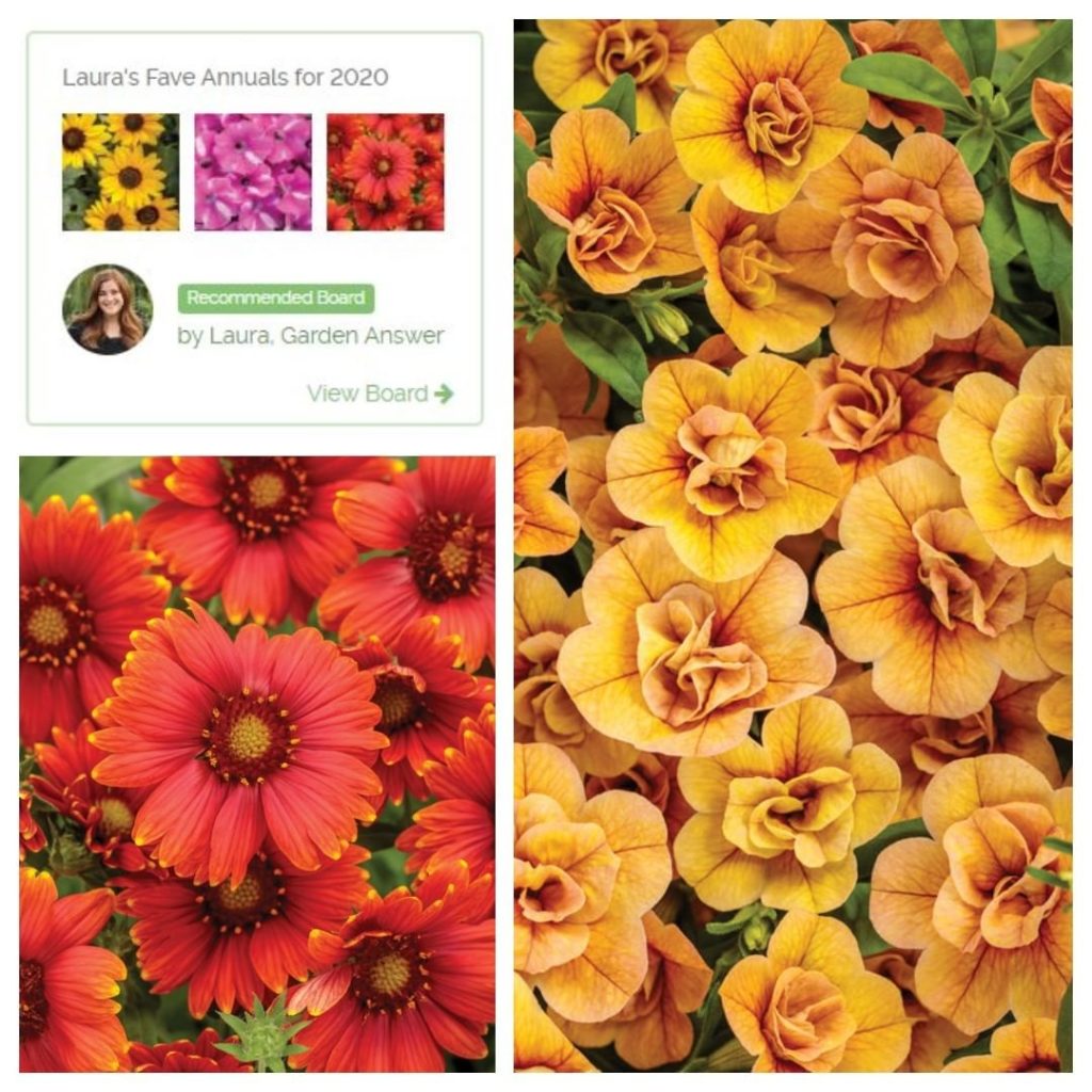 gardendesignmag: Do you create idea or vision boards for your garden?
.
If you’ve ever wondered w… Do you create idea or vision boards for your garden?
.
If you've ever wondered w...