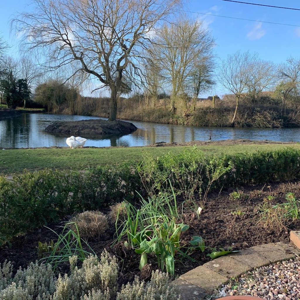 kategouldgardens: Time for gardening  A good month after we normally give the garden its first hai… Time for gardening  A good month after we normally give the garden its first hai...
