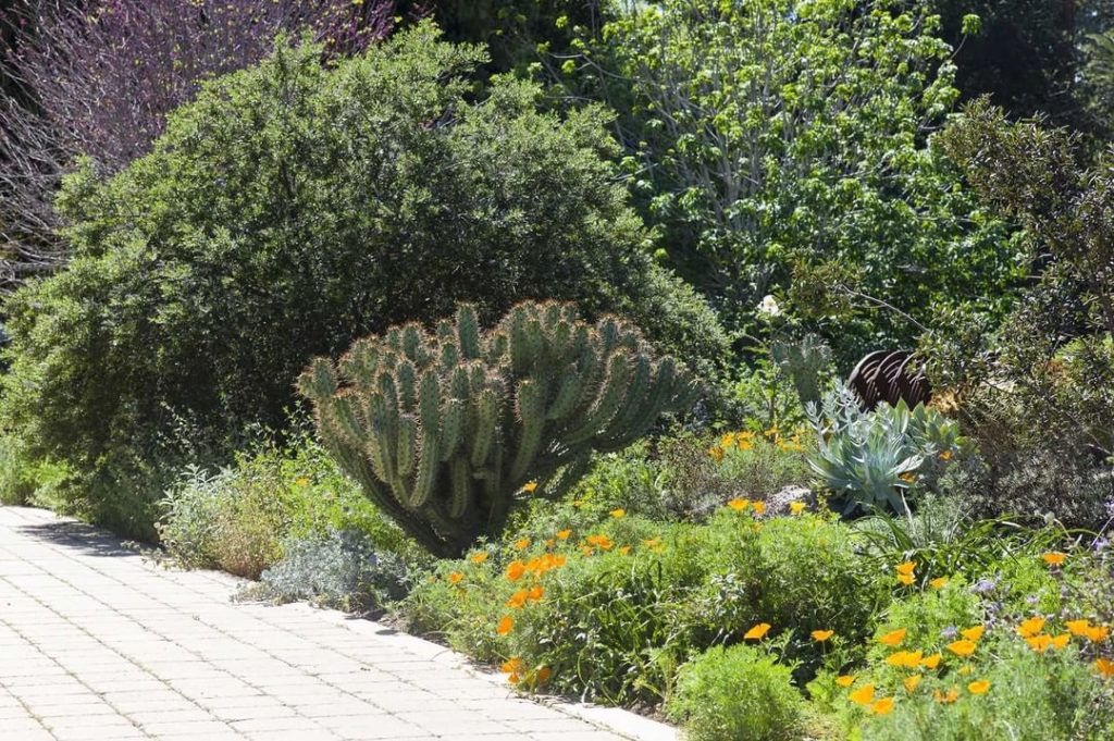 gardendesignmag: Have a love for native gardens? Give a shoutout to your local native garden tour… Have a love for native gardens? Give a shoutout to your local native garden tour...