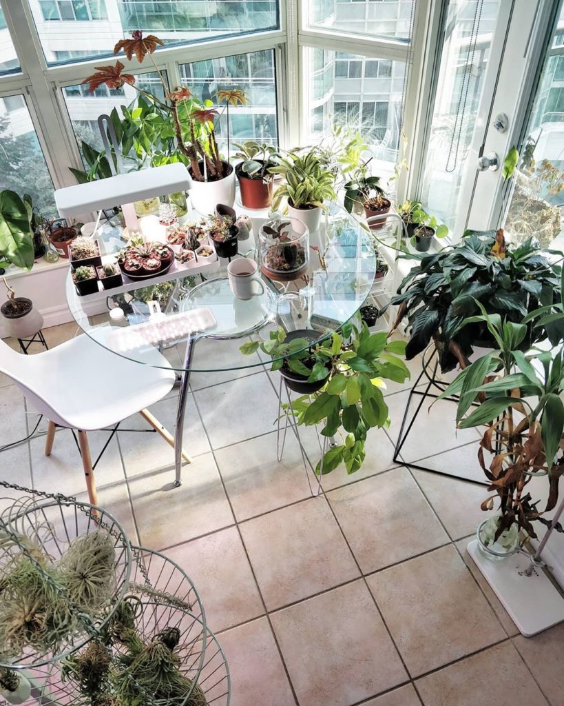 I'm thinking of getting a shelf to free up the space on the windowsill. It's a b...