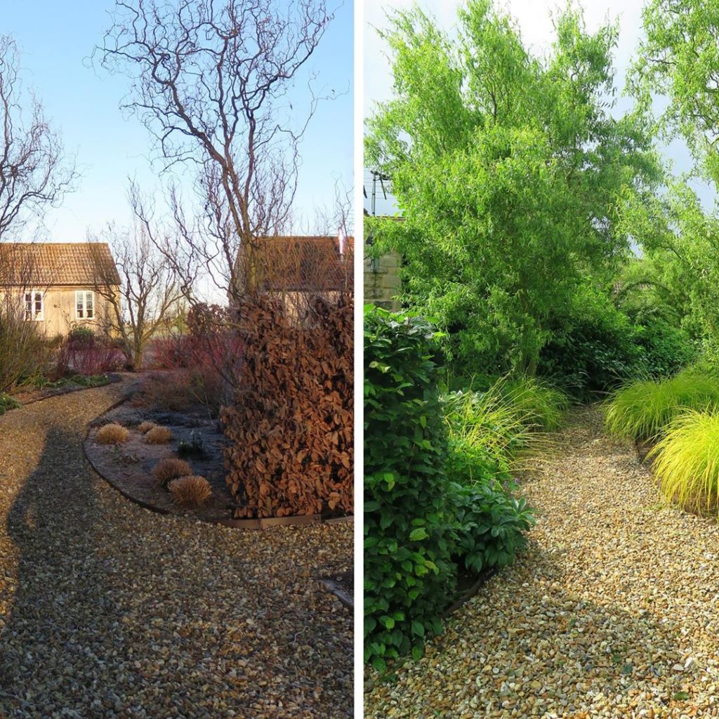 Same spot different #season #winter #summer #seasonalchange the joy of #gardens ...
