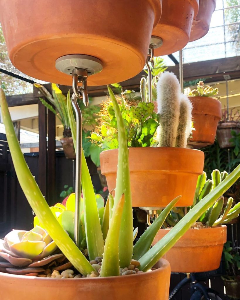 Put your pots at eye level and better connect with your plants  — SkyPots are de...