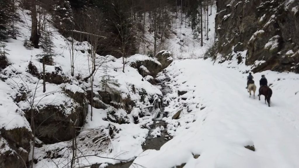 ...technically they were #chamois...