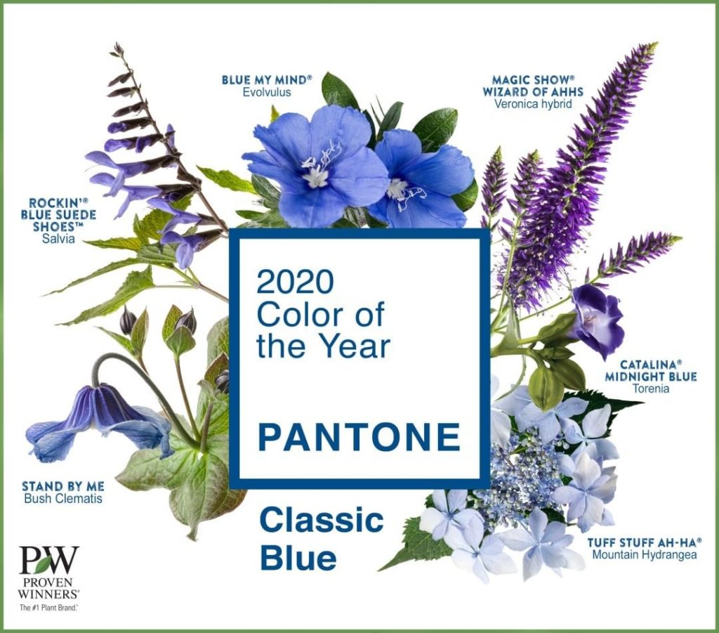 gardendesignmag: Sometimes it’s good to be blue!
.
Inspired by the @pantone Color of the Year, th… Sometimes it's good to be blue!
.
Inspired by the @pantone Color of the Year, th...