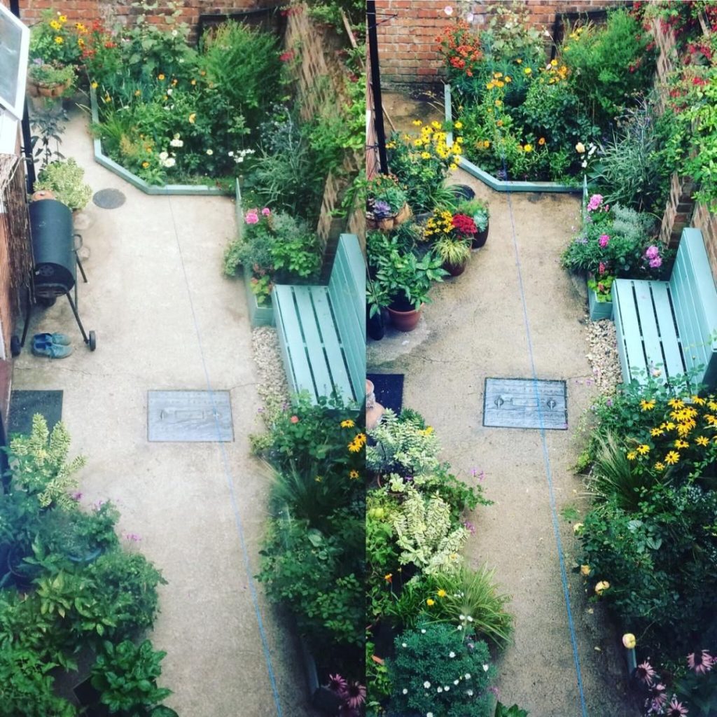 Garden Design Tip: Never underestimate how much a plant will grow!
.
When I init...