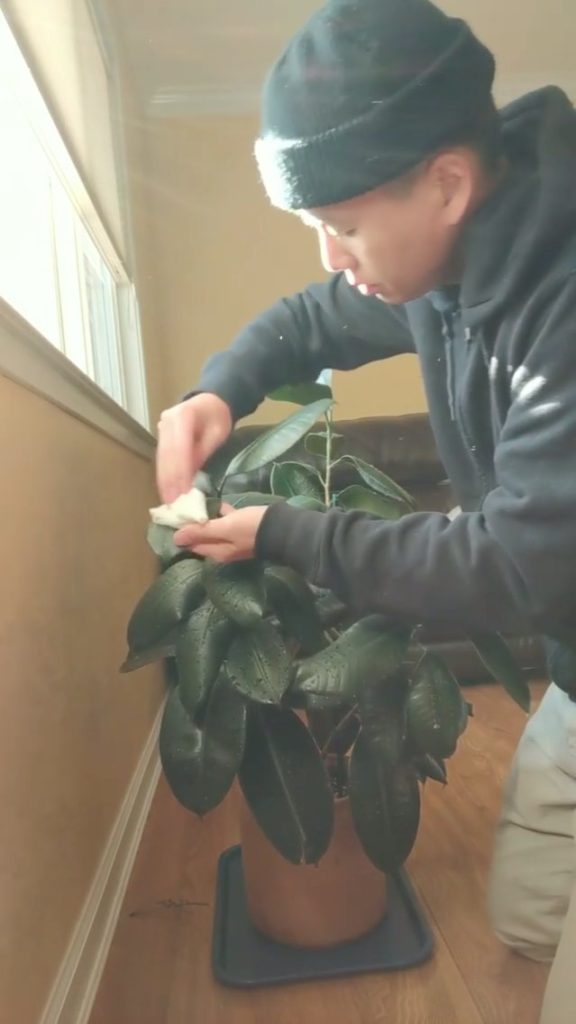 #PlantsMakePeopleHappy, in a nutshell. A video about being a plant parent, by @v...