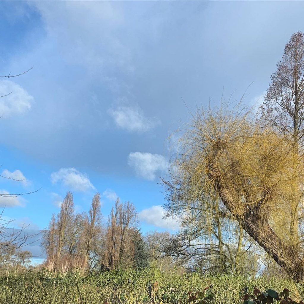 I’m not sure I really believe it, but I think that is what is known as a ‘blue s...