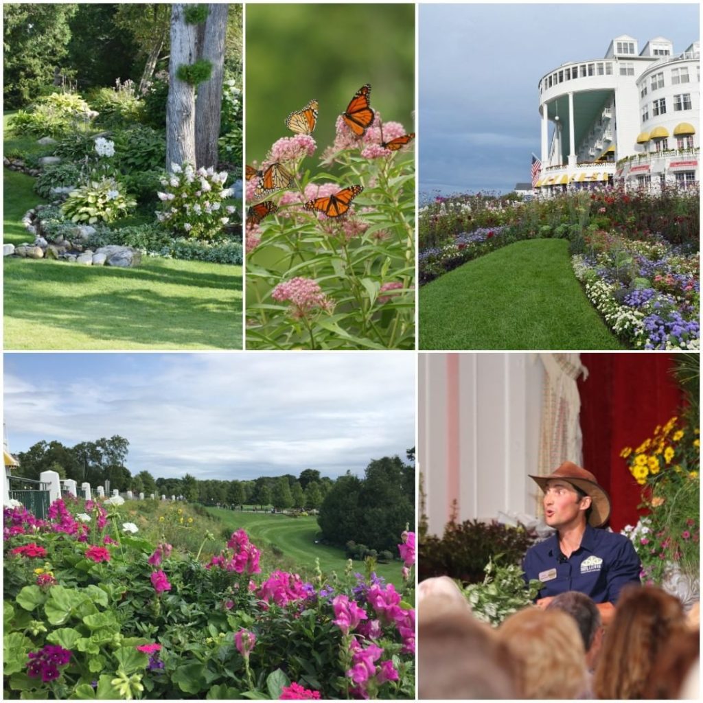 Grand memories are waiting for you at the Grand Garden Show!
.
Stay at Grand Hot...