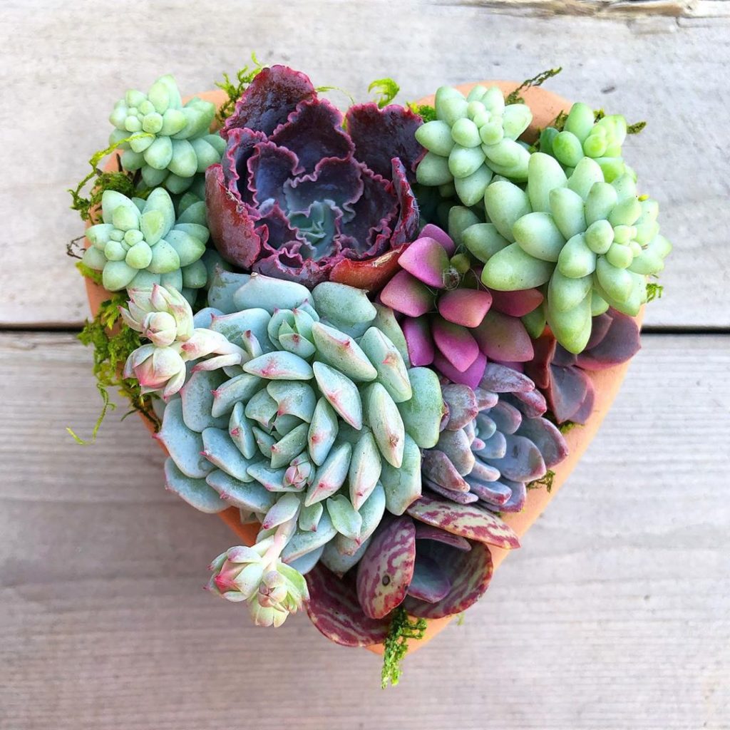 >--> XOXO You are loved. Yes YOU!...