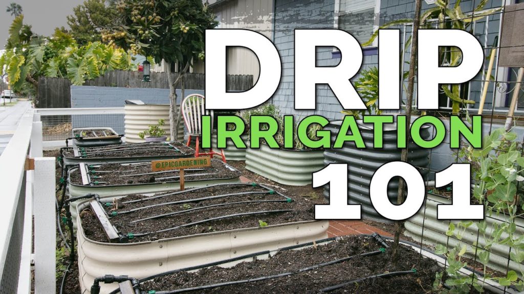 Epic Gardening: EPIC Drip Irrigation System for Raised Beds 💦 (Before & After) EPIC Drip Irrigation System for Raised Beds 💦 (Before & After)
