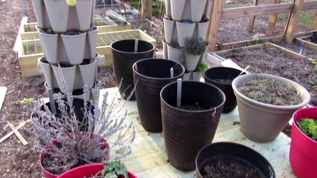 TRG Homestead VLOG E-11: My 2020 Garden Vision, Container Redesign, New Builds & Seed Starts Update