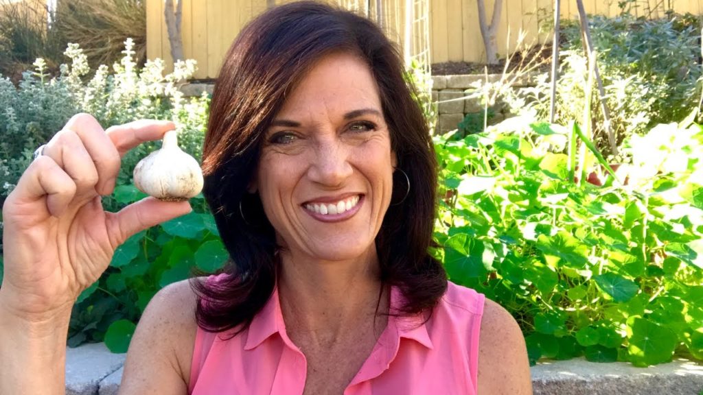 🍅 LIVE: Carrots and Garlic:  Your Questions Answered! (REPLAY)