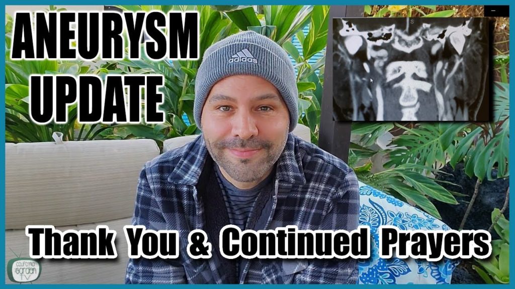 Aneurysm Update - Thank You & Continued Prayers