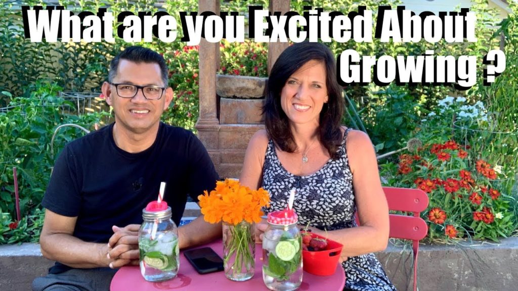 Summer Garden Check In: What are you Excited About Growing? 🍅🥒🥕🌶🥦