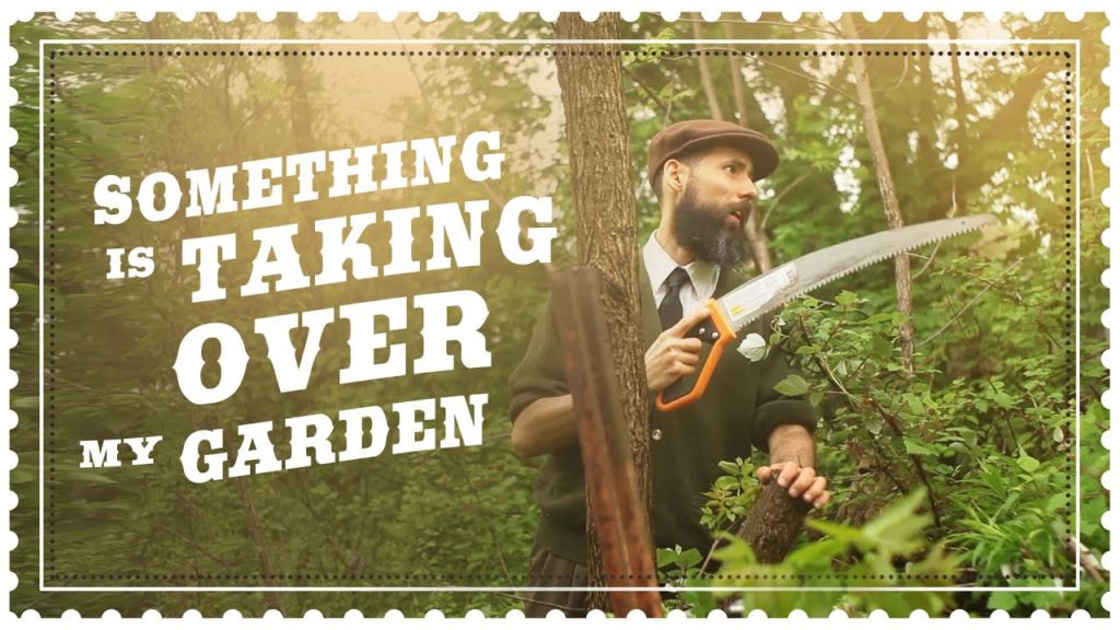 I Will Lose my Garden if I Don't Take Action