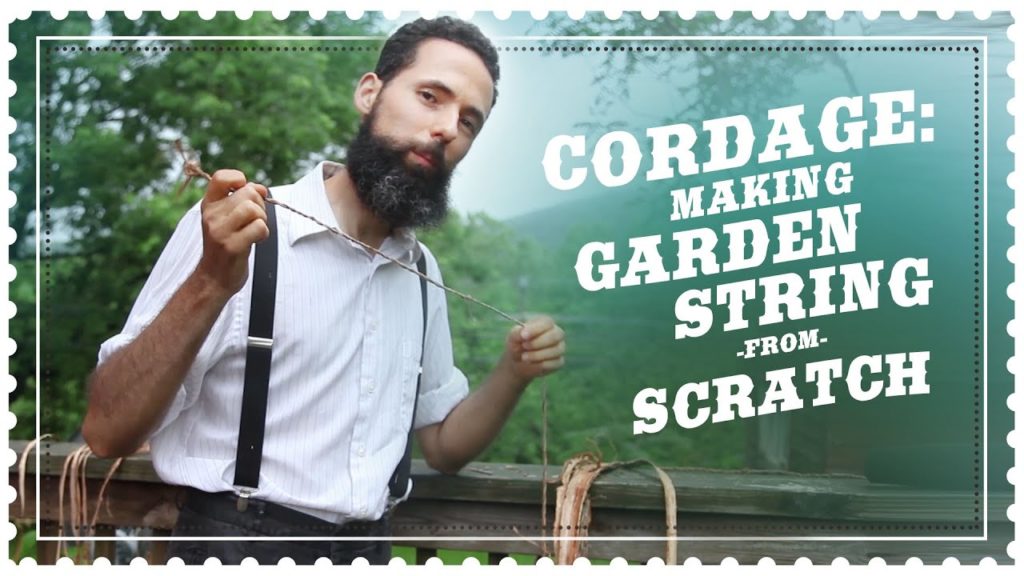 How to Make Garden String from Scratch Out of Elm Tree Bark - Cordage