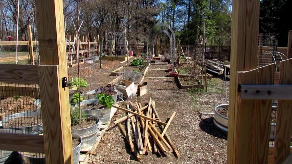 Gary Pilarchik: 10 Basic Garden Beds & Trellis Designs for Vertical Garden: Spring is a Great Time for Redesign 10 Basic Garden Beds & Trellis Designs for Vertical Garden: Spring is a Great Time for Redesign