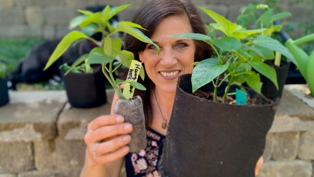 🍅LIVE: Do’s and Don’ts when Transplanting Indoor Seedlings for Best Chance of Success (REPLAY)