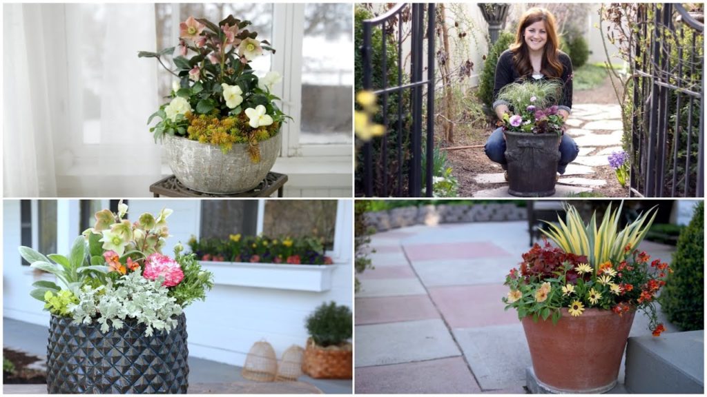 4 Early Spring Container Ideas! 🌿
