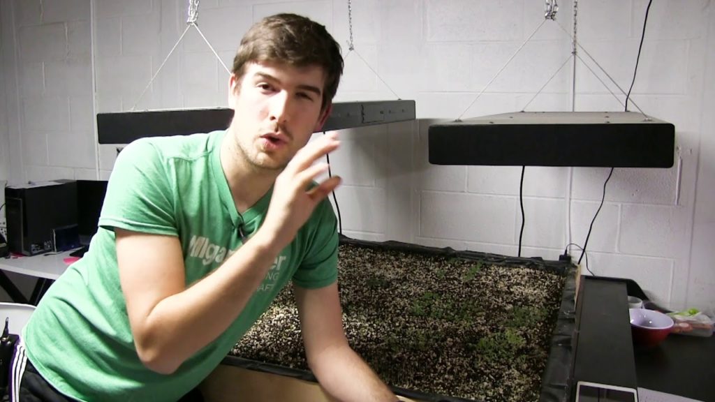 MIgardener: The 3 Requirements for Successful High Intensity Gardening The 3 Requirements for Successful High Intensity Gardening