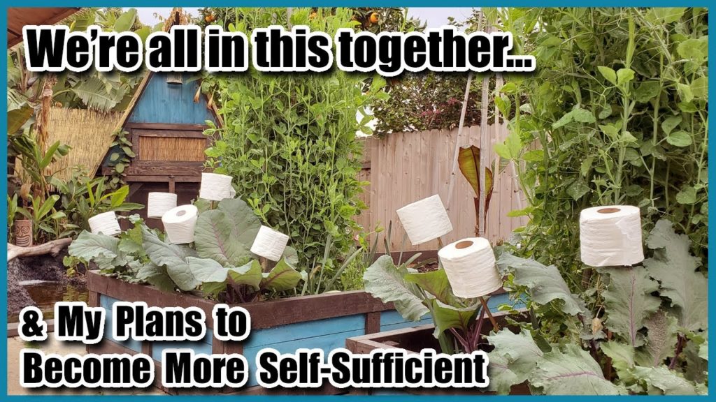 We're All In This Together... & My Plans to Become More Self Sufficient.
