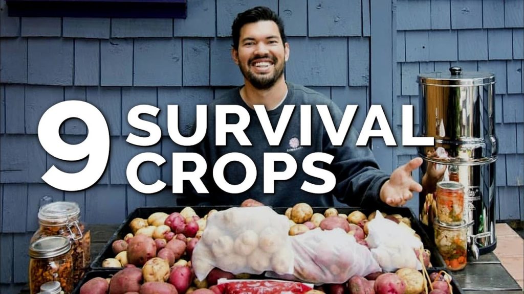 Epic Gardening: 9 Survival Gardening Crops to Grow in a Post Apocalyptic World 9 Survival Gardening Crops to Grow in a Post Apocalyptic World