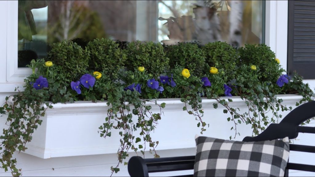 Planting More Spring Color!!! 💙💛💙// Garden Answer
