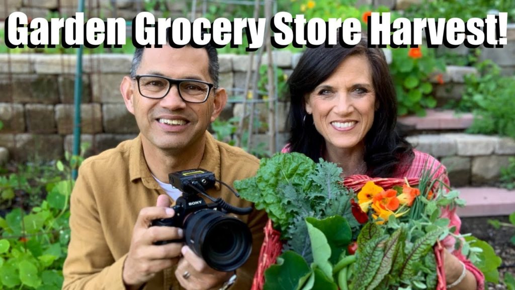 CaliKim: Harvesting Dinner from the Garden Grocery Store and Making a Garden to Table Salad! Harvesting Dinner from the Garden Grocery Store and Making a Garden to Table Salad!