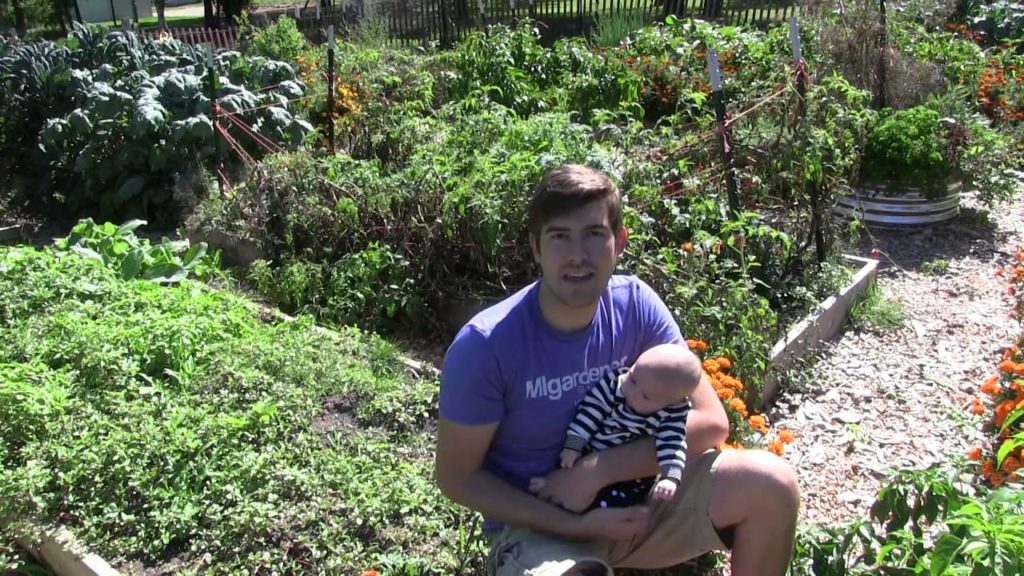 MIgardener: Total Cost Breakdown for The Garden Total Cost Breakdown for The Garden