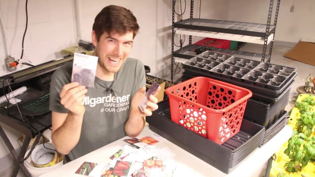 MIgardener: Why We Started ALL Our Seeds At Once Why We Started ALL Our Seeds At Once
