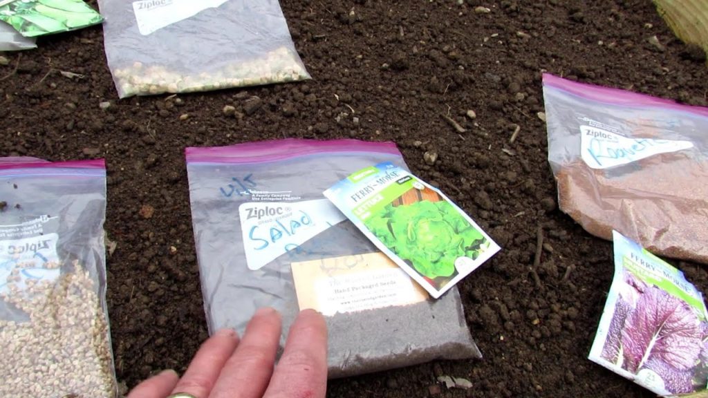 Direct Sowing Fast Growing/ Cool Weather Greens: How to Build & Grow Your First Vegetable Garden E-3