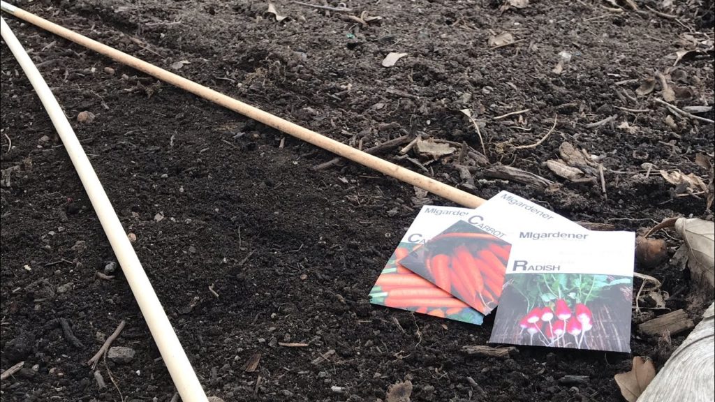 My Go-to Tool for Straight & Beautiful Rows In My Garden