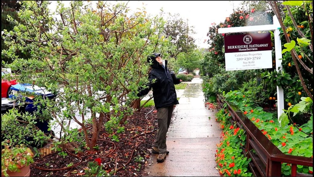 SWEET GOODBYE to Late Bloomer Garden 1.0 (An AMAZING Eight Years of learning and sharing!)