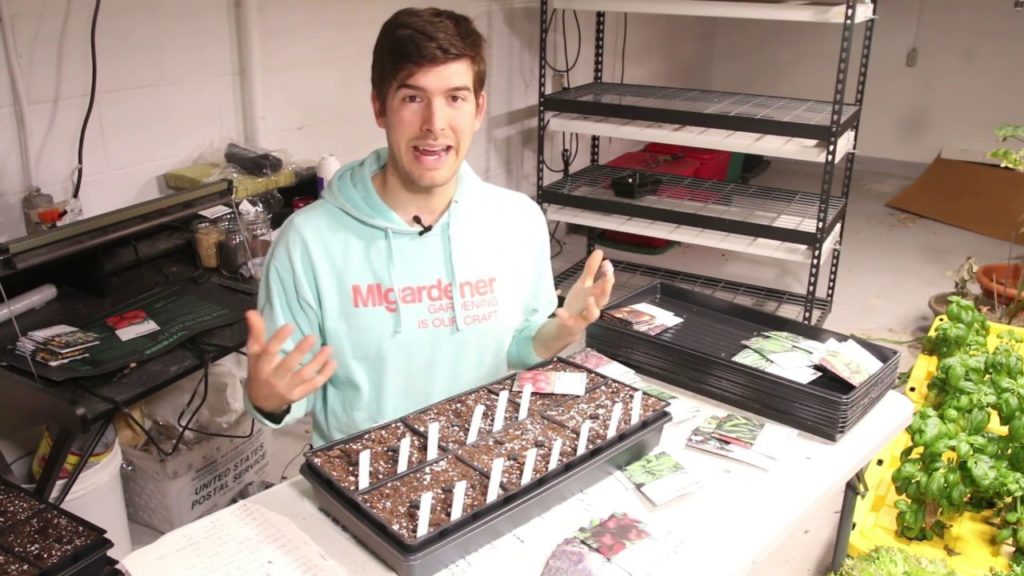 MIgardener: Complete List of How Many Plants Needed to Grow a Year's Supply of Food Complete List of How Many Plants Needed to Grow a Year's Supply of Food