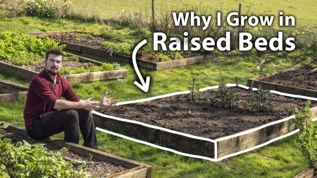 Huw Richards: The Benefits of Growing Food in Raised Beds The Benefits of Growing Food in Raised Beds