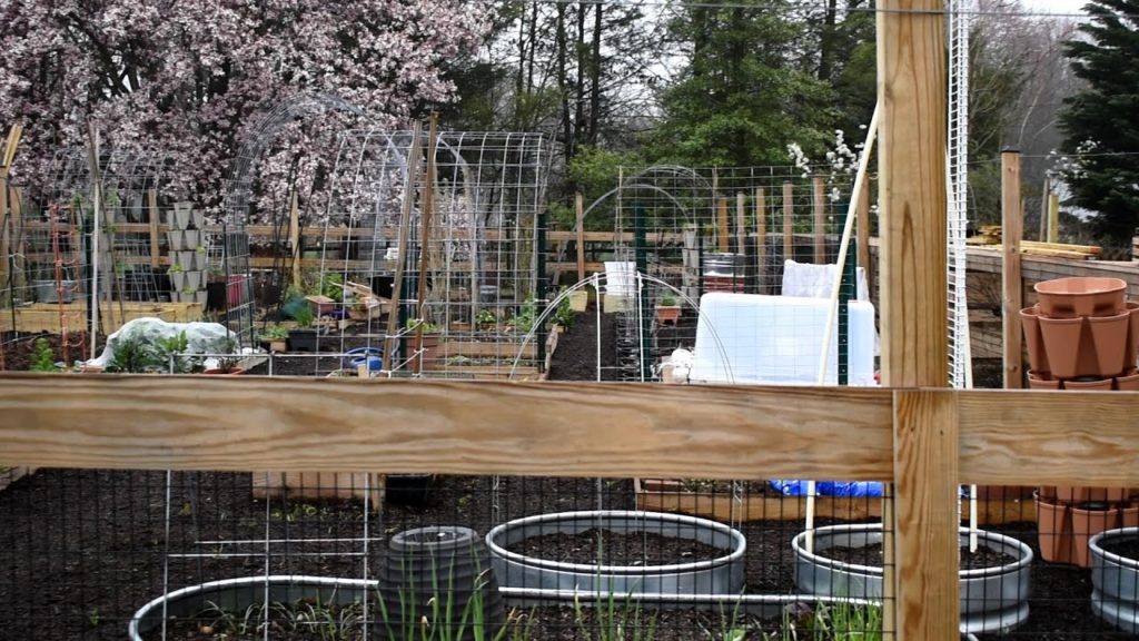 TRG Homestead VLOG E-14: Introducing My 2020 Garden Remake, Bagged Soil & Manures, Vertical Growing