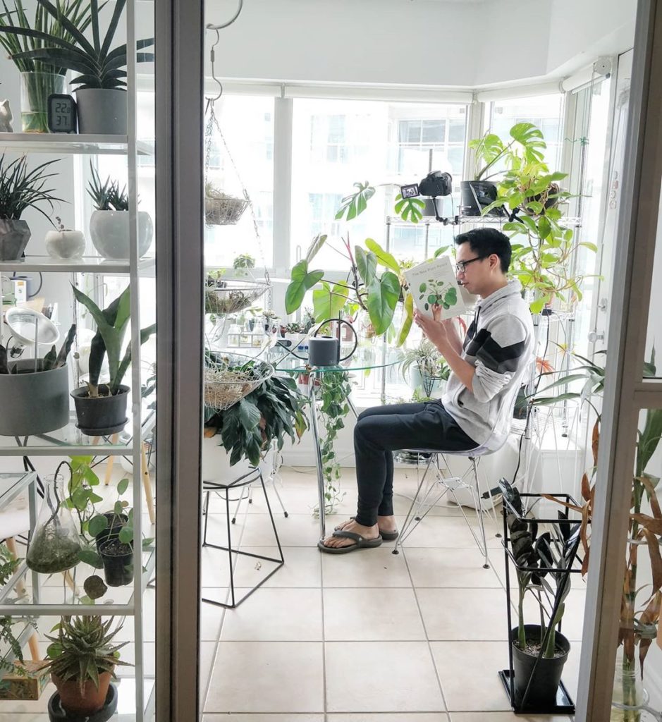 houseplantjournal: Giveaway (caption reading test):
March 19 is the one year anniversary of the rel… Giveaway (caption reading test):
March 19 is the one year anniversary of the rel...