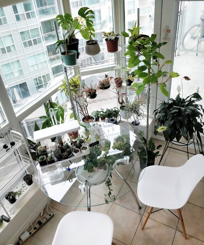 My previous apartment was super tiny and I think it influenced my collecting of ...