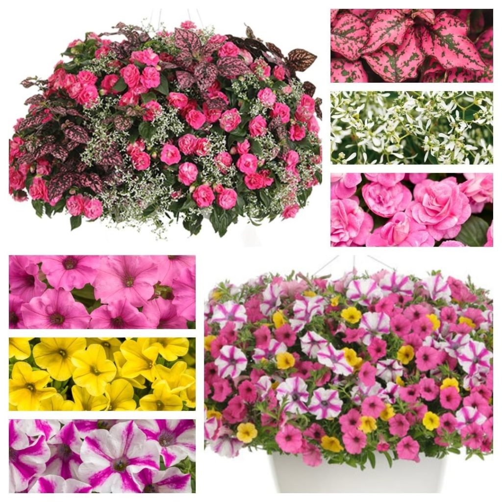 Not only are these 2020 Recipes of the Year, but they're also available as flowe...