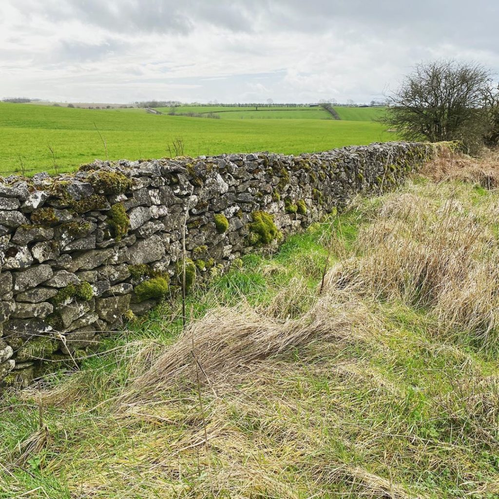 This wall and these boulders are located on Yeo Valley farmland, local drystone ...