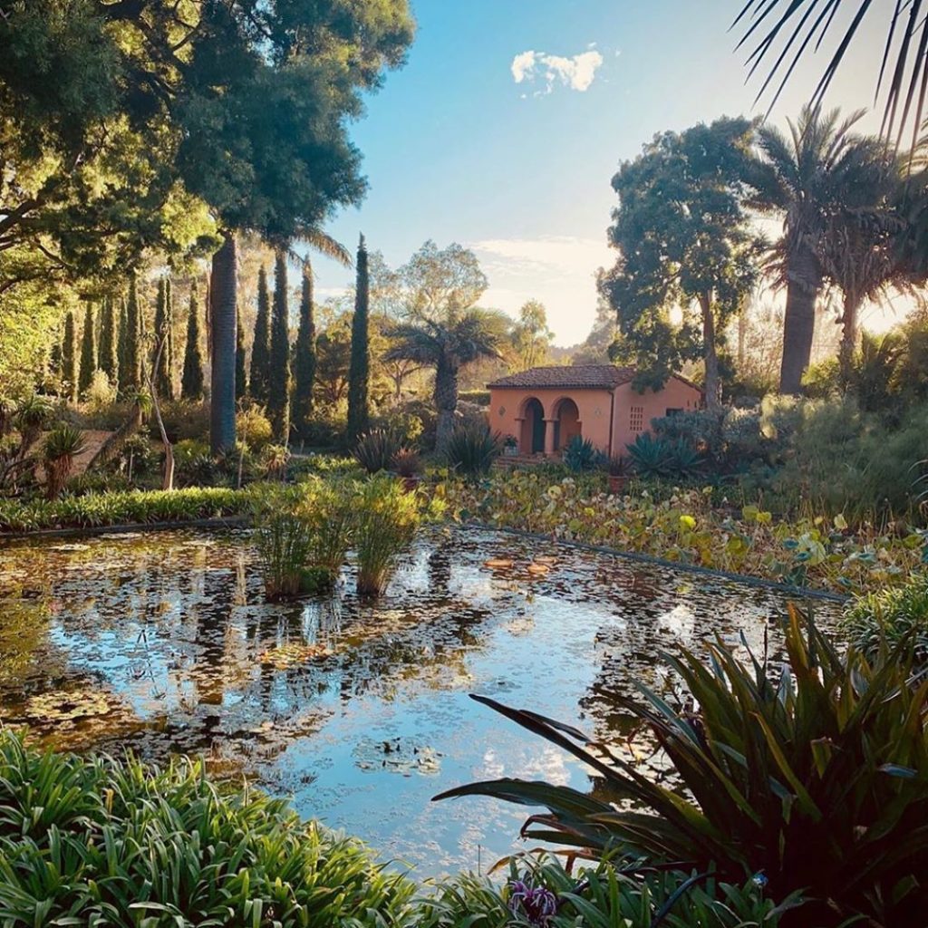 Vicariously traveling to @lotuslandgarden courtesy of @gracedesignsb , who has a...