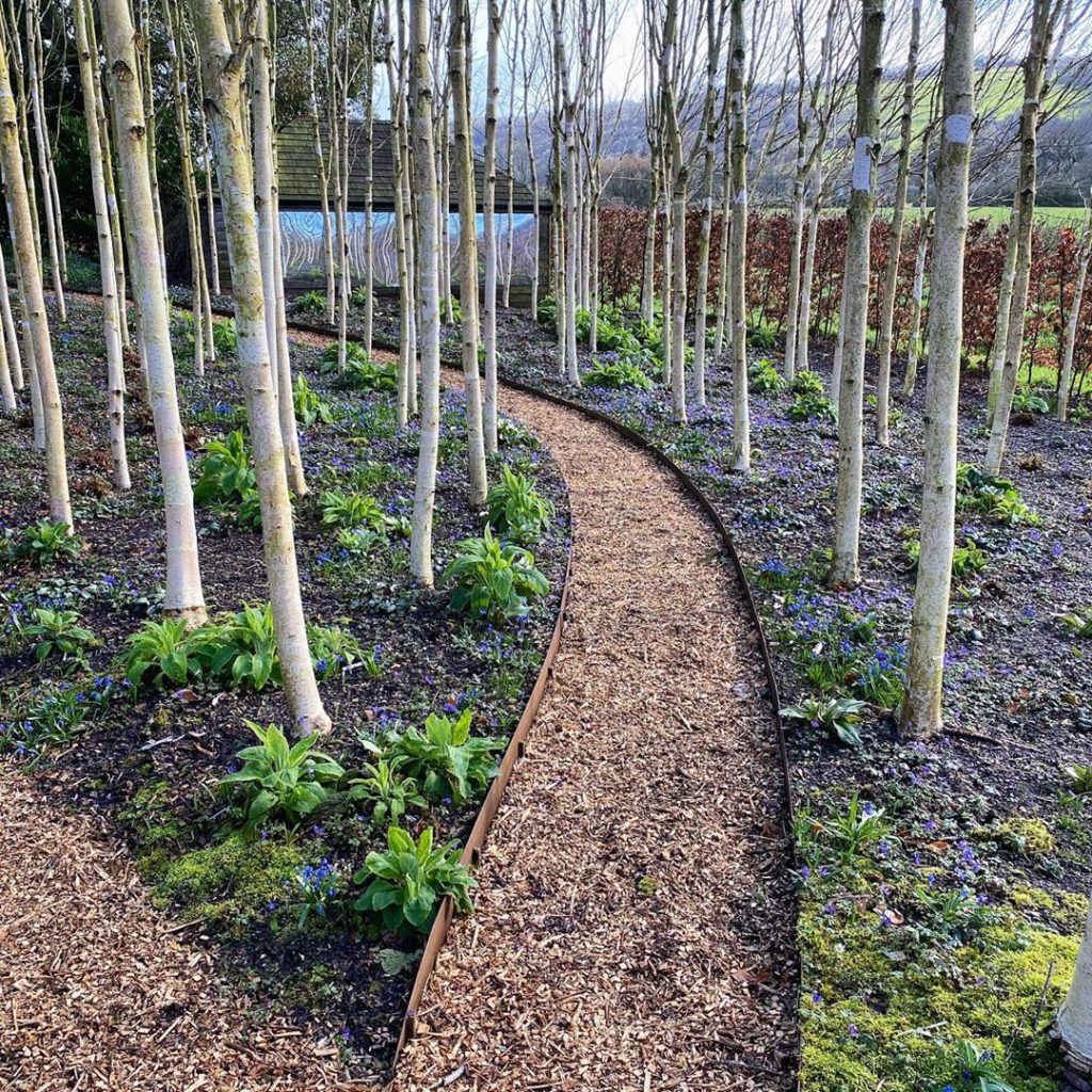 tommasseyuk: Just last week I was down at @yeovalley filming interviews in the organic garden… Just last week I was down at @yeovalley filming interviews in the organic garden...