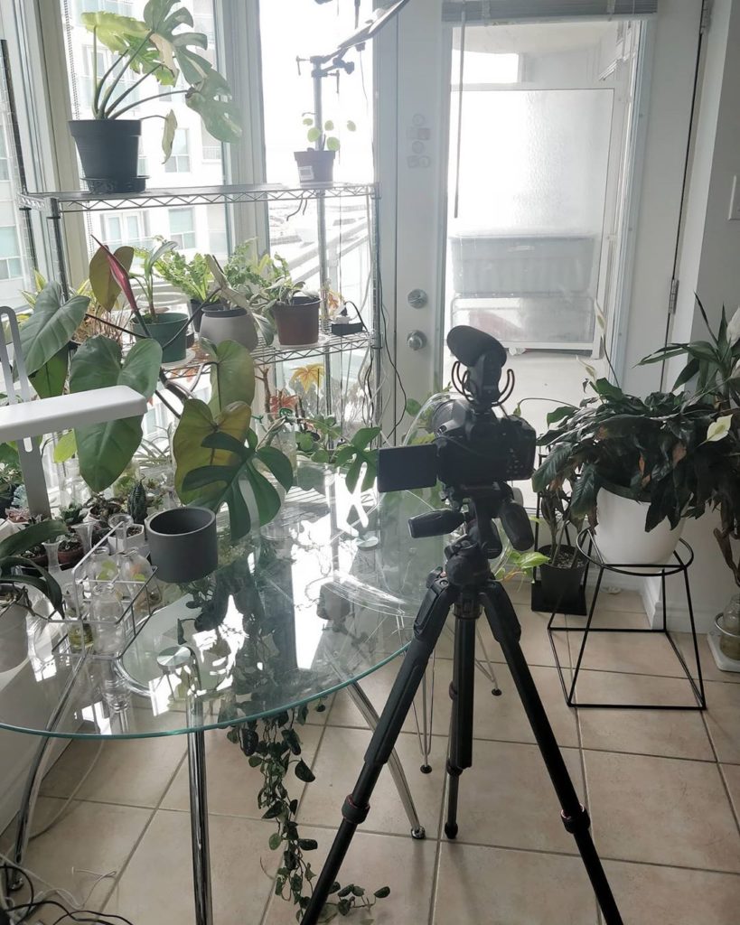 *NEW VIDEO*  thank you for all the video suggestions! I've just uploaded my firs...