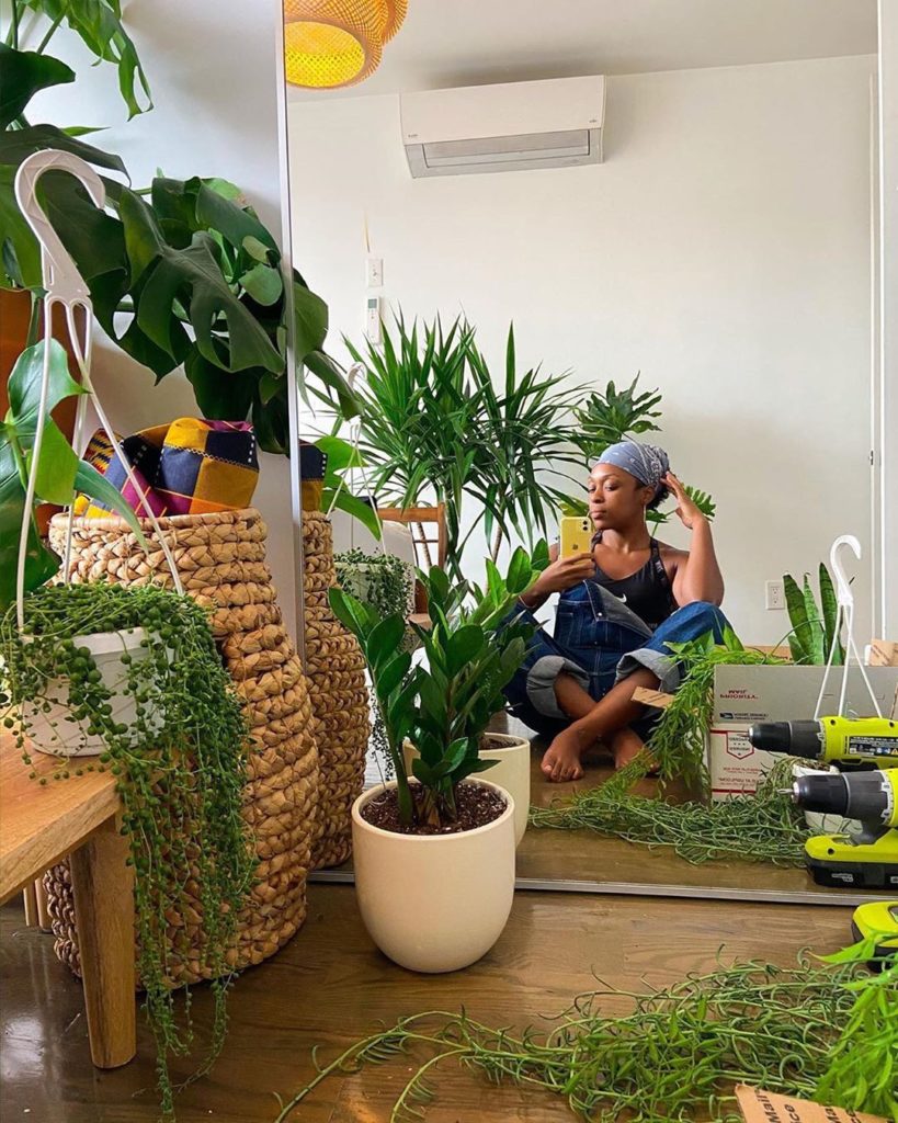 Building an indoor jungle and creating cozy #WFH vibes by @jocelynn_williams ...