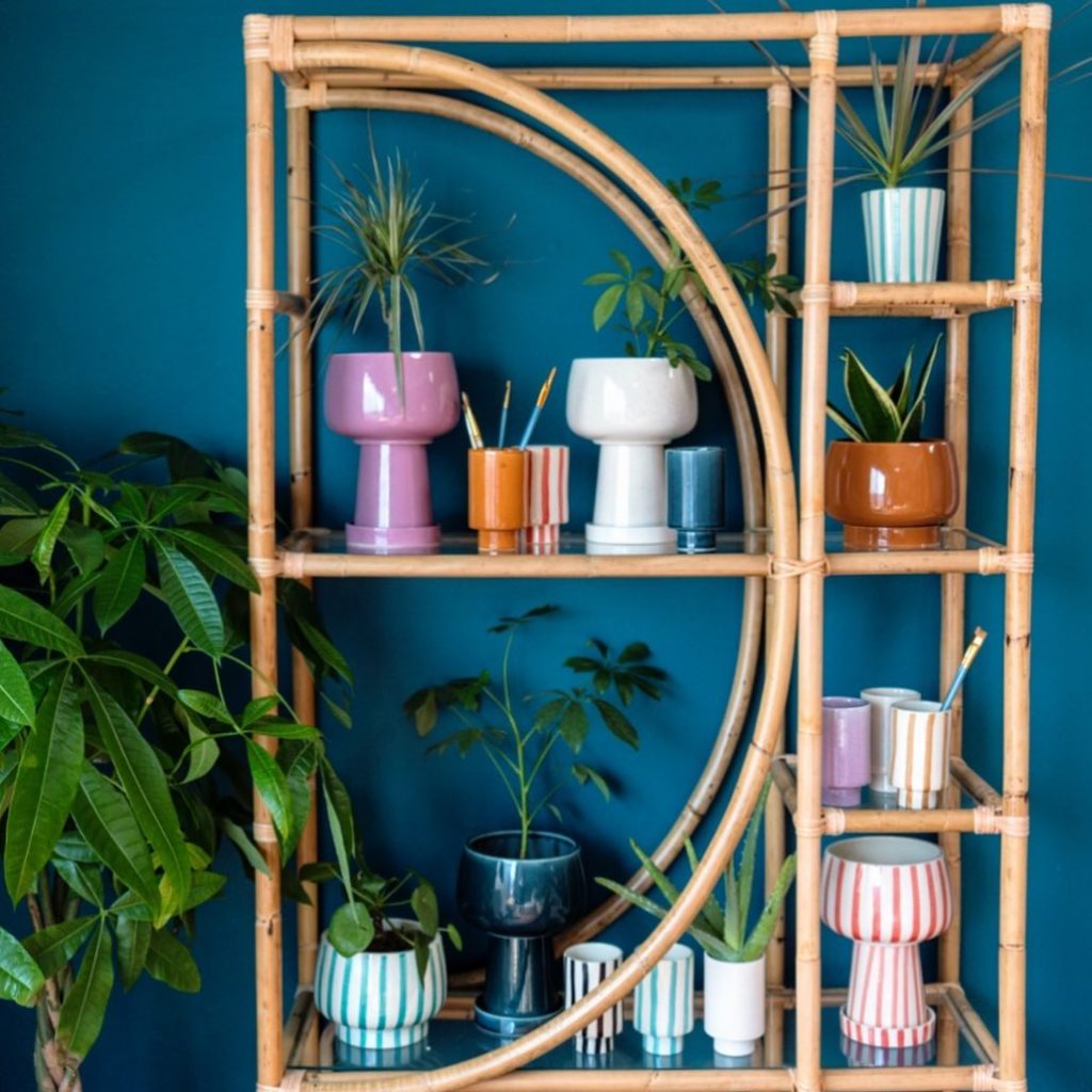 thejungalow: Jungalow fam! Do you water all your plants on the same day? Most of the #Jungalo… Jungalow fam! Do you water all your plants on the same day? Most of the #Jungalo...