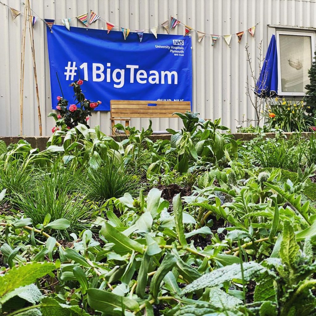 I just spent the day at Derriford Hospital, planting this courtyard with Andi (h...